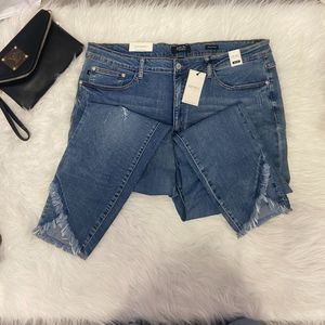 PLUS Size Judy Blue Skinny Jeans - NO Tags